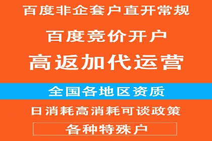充值返点机制在社交平台的应用案例